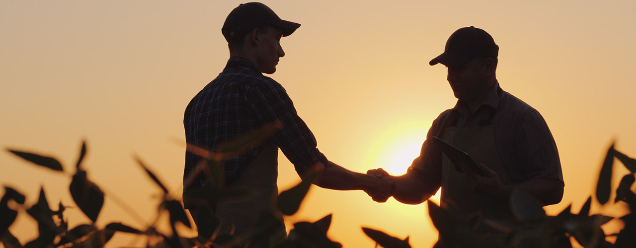 Two men shaking hands in a field at sunrise.