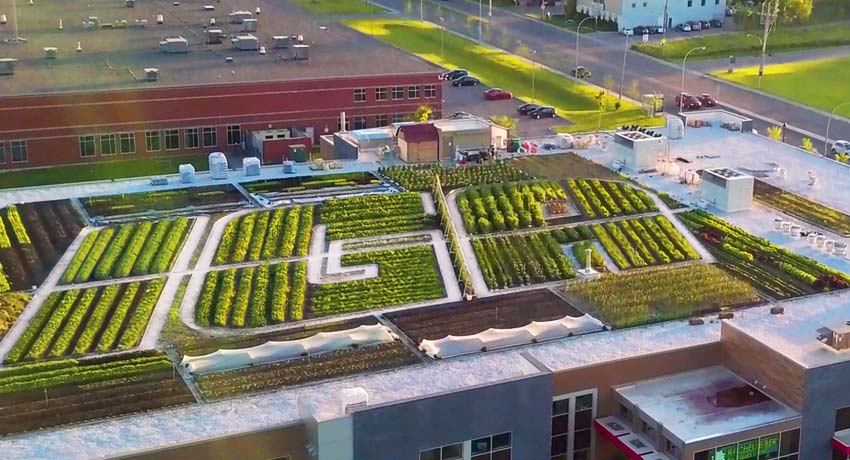 Ariel view of an IGA rooftop garden