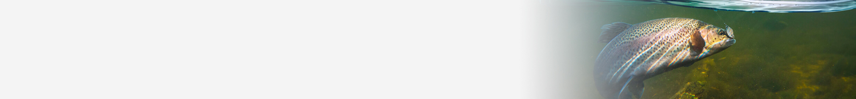 Our work to reduce food waste connects with our focus on responsible sourcing, building stronger communities and reducing plastics.