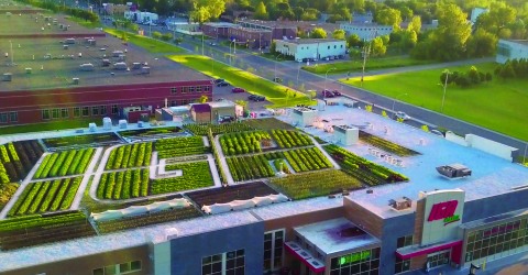 A picture of canadian IGA organic farm.